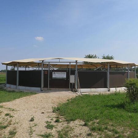 Holiday Home Domus Magna-3 By Interhome Povoletto Buitenkant foto